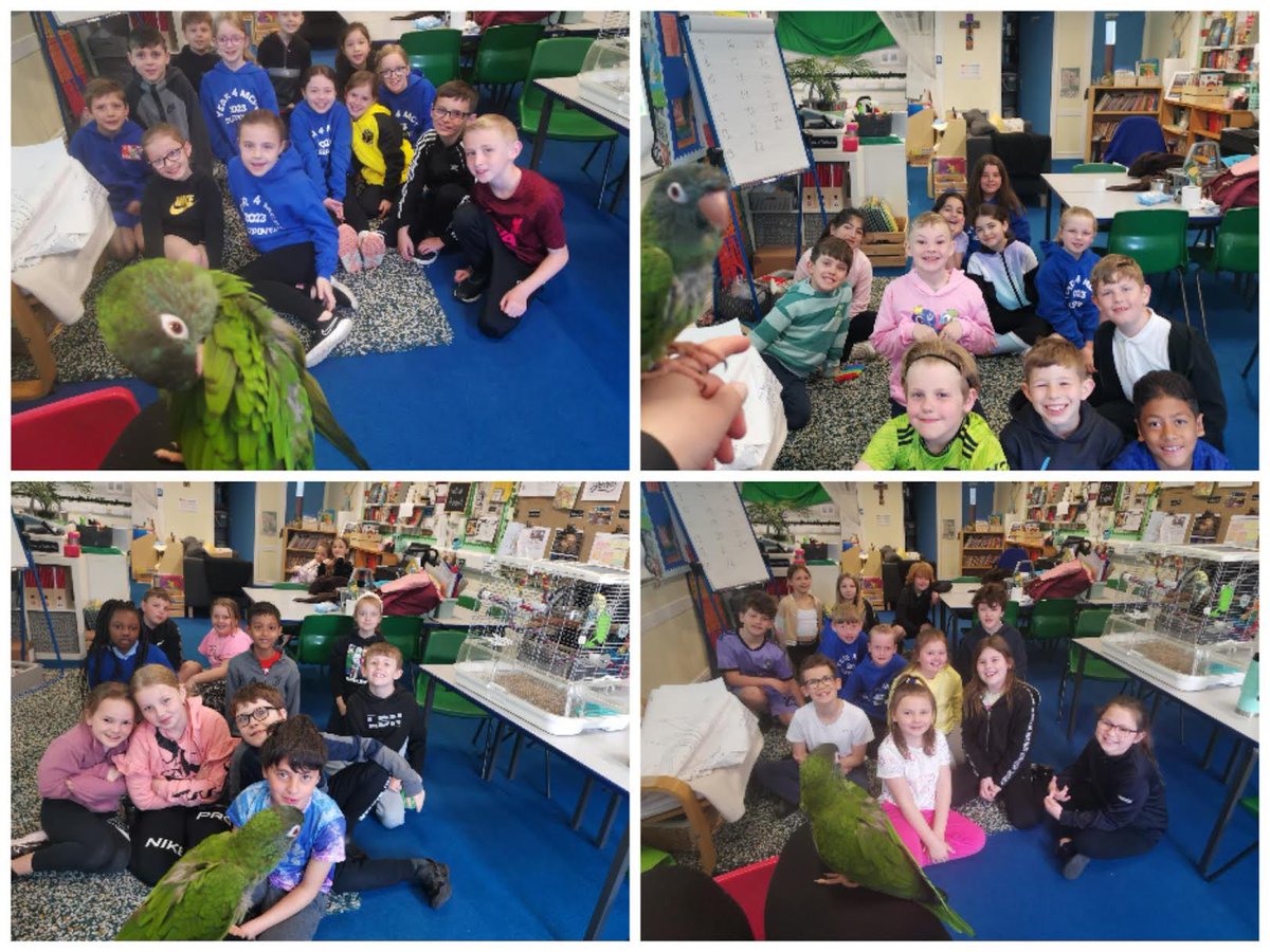 MCPS_year4's tweet photo. Our new inquiry question is ‘What do living things need to survive?’.  We have been exploring outside to identify plants, trees and wildlife. We’ve also had two special visits to find out about how animals adapt to their environment. 🦜🌿🪱🦎 https://t.co/sNjehiihcX