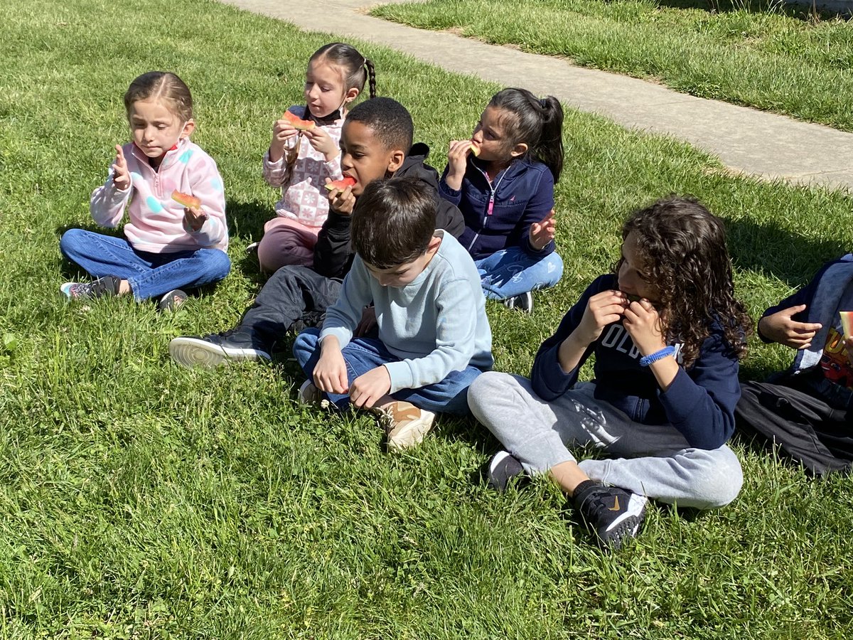 Emily Nauman tweet media