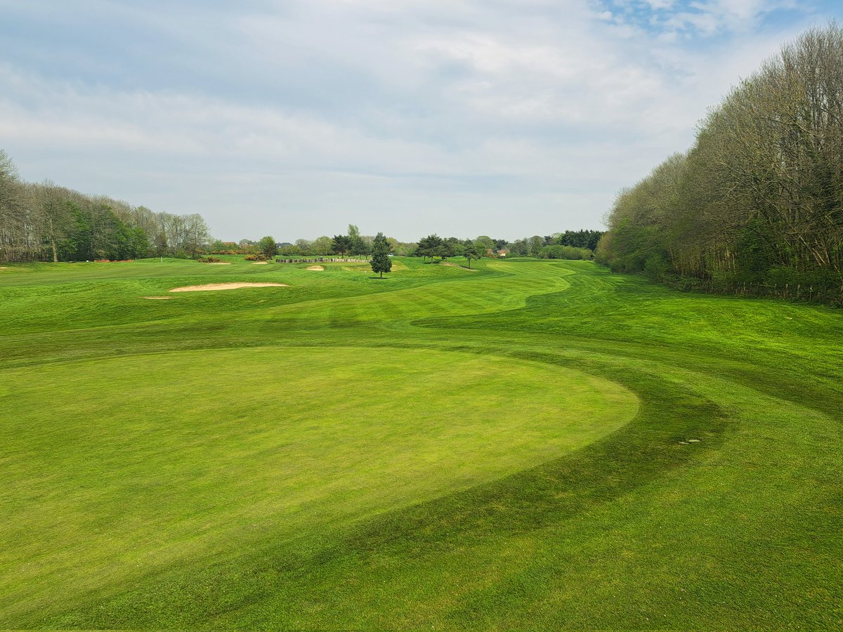 MichaelSparkeDM's tweet photo. Amazing effort from the team setting up for The Masters weekend. New flags for the weekend are looking great too! @HarryKHGC @JacobKelsoGolf #greenkeeping #golf #Coronation2023 https://t.co/17UhghjttS