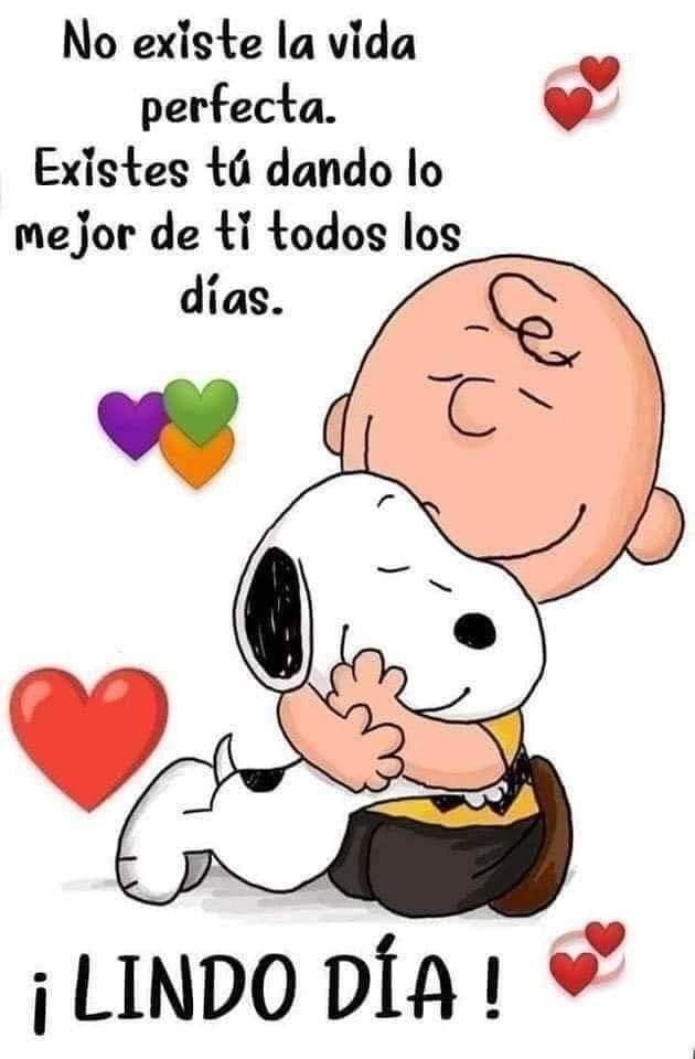 Miguel Ángel ❤️😻🐕❤️ Adopta Responsablemente tweet media