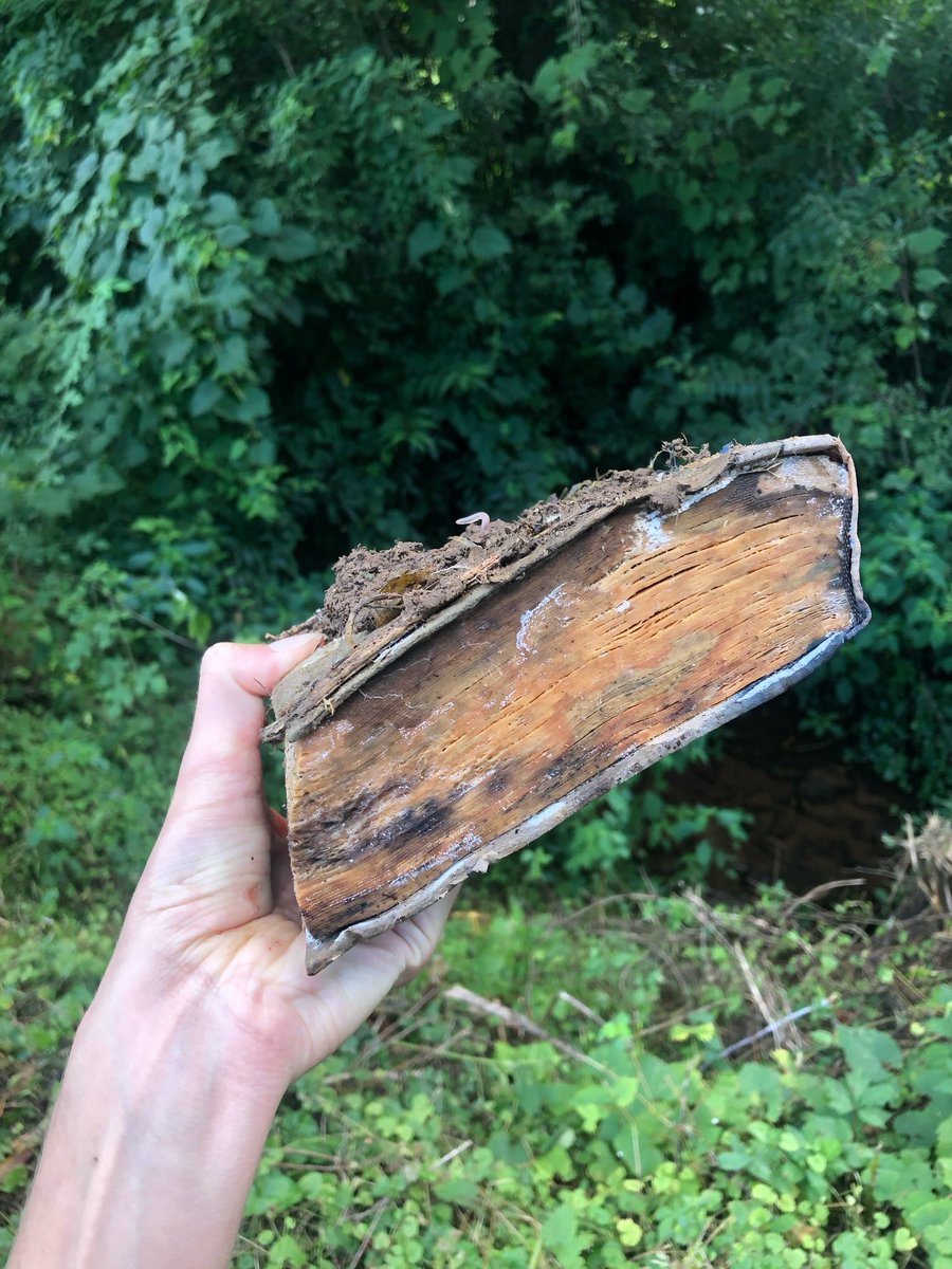 AGU Hydrology H3S tweet media