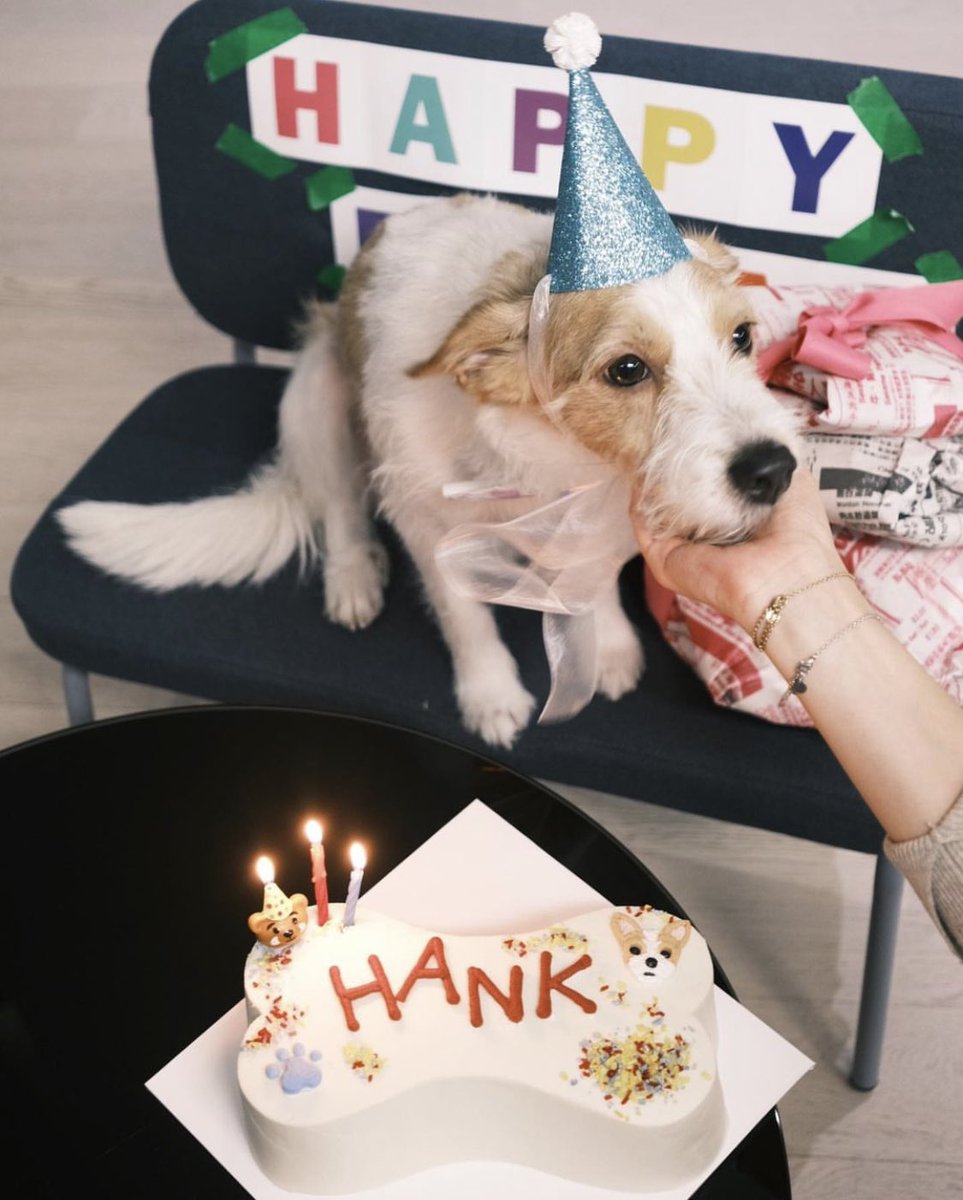 HAPPY BIRTHDAY HANK💕
#