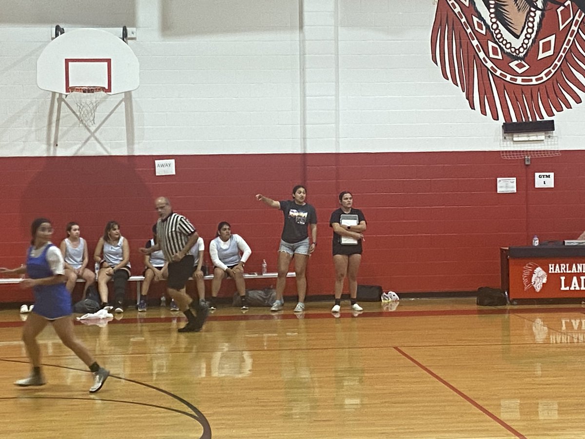 Lee Girls Basketball tweet media