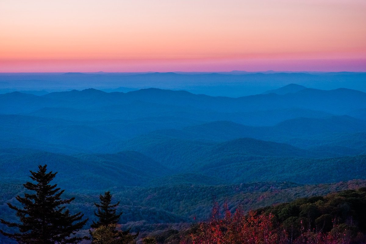 nick rufo on Twitter: 