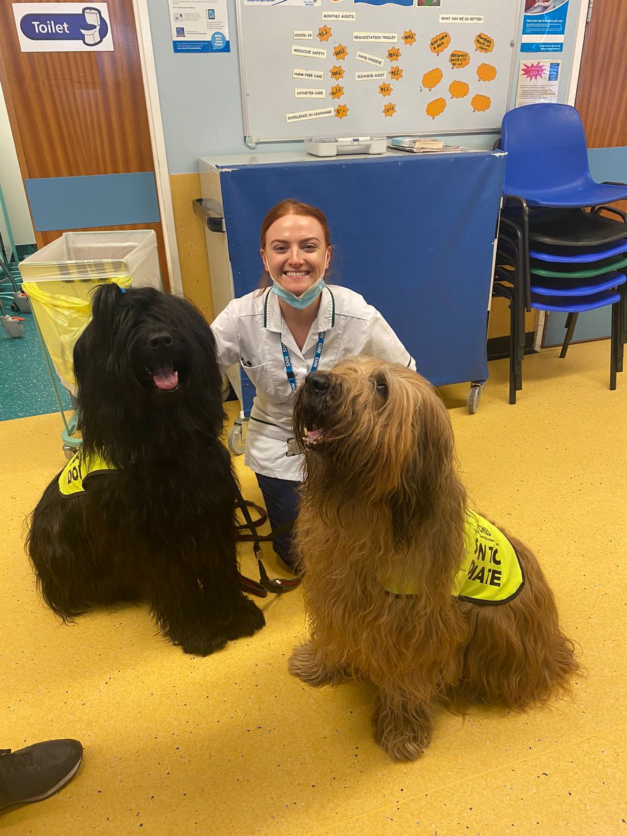 Ward B47 (@wardb47nuh) on Twitter photo Thank you <a href="/Pooches20781922/">Pooches</a> for coming to see the patients and staff on B47. Talk of the day! Hopefully see you again soon
Photo of Bertie, Ruby, and our own OT @AmeliaS_OT
#nuh <a href="/NUHInstitute/">Institute of Care Excellence</a> <a href="/NUHMedicine/">NUH Medicine</a> <a href="/NUH_AcuteMed/">NUH Acute Medicine</a> <a href="/HcopTeam/">TeamHCOP_NUH</a> #queensmedicalcentre Thank you <a href="/Pooches20781922/">Pooches</a> for coming to see the patients and staff on B47. Talk of the day! Hopefully see you again soon
Photo of Bertie, Ruby, and our own OT @AmeliaS_OT
#nuh <a href="/NUHInstitute/">Institute of Care Excellence</a> <a href="/NUHMedicine/">NUH Medicine</a> <a href="/NUH_AcuteMed/">NUH Acute Medicine</a> <a href="/HcopTeam/">TeamHCOP_NUH</a> #queensmedicalcentre