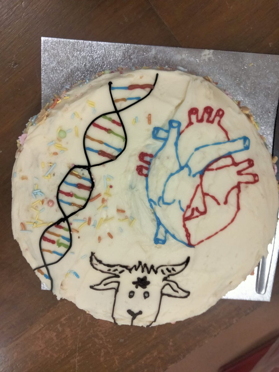 When it's your daughter's very last #Biology lesson and her and a friend transform a <a href="/Tesco/">Tesco</a> madeira party cake into this for their teacher! 

#BiologyCake #LastLesson #alevels2023 #Alevels #Cake #TeacherGift