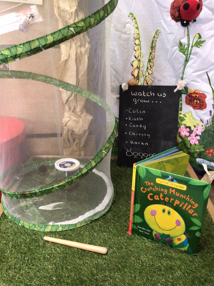 This week, we have been learning about ‘The lifecycle of a Butterfly’
Our hungry caterpillars have grown so much. The children have had lots of fun choosing names for them. Within the next few weeks, they will become a chrysalis. 🐛🦋