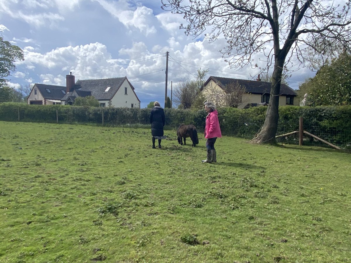 BougheyDeborah's tweet photo. So excited to visit @sceap one of our Community grant recipients, and meeting their therapy herd! Can’t wait for our young people to benefit from their equine therapy @sarahnewts @BexStubbs @CombinedNHS @Comb_Transform https://t.co/Ldv54qI1Fw