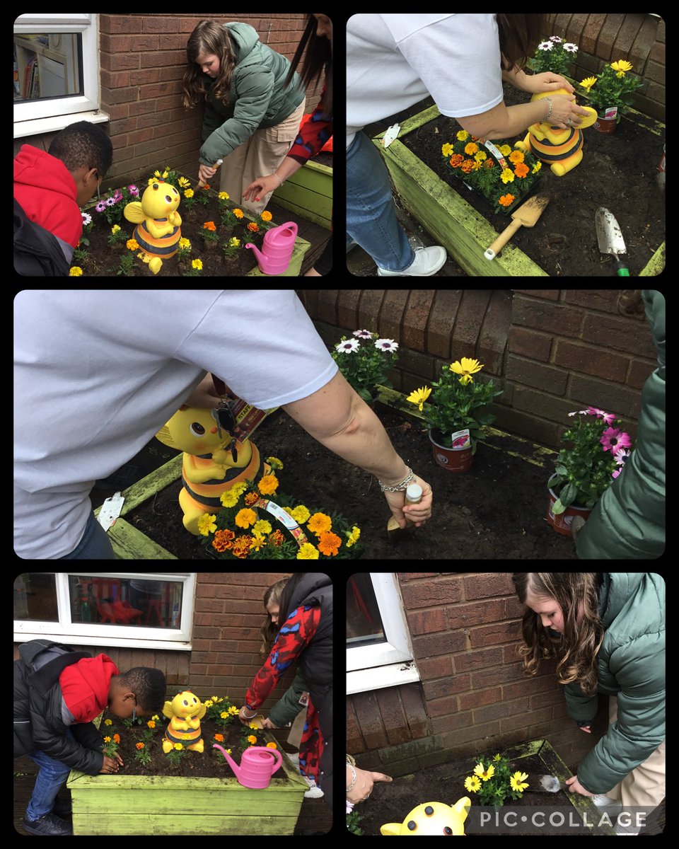 ricelaneoak's tweet photo. Planting flowers in our sensory garden. https://t.co/mHYur6pa9U