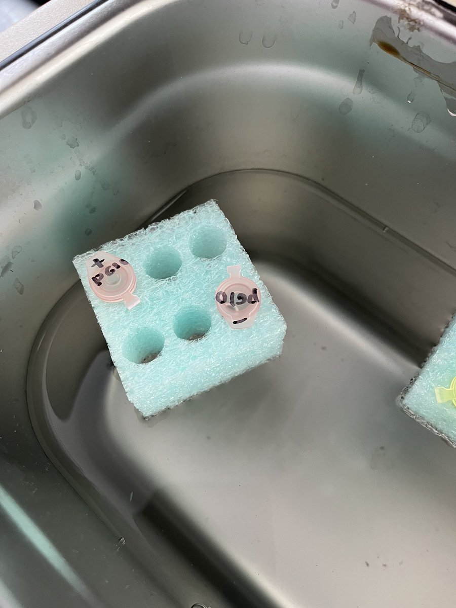 Melissa Bryant tweet media