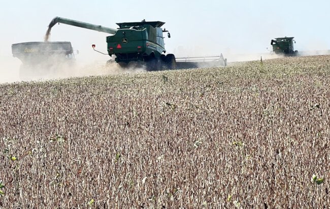 Agroverdad's tweet photo. Informe de la @BCCBA🌱
Cosecha de soja en Córdoba: definitivamente, ya es menos de la mitad que el año pasado
>> https://t.co/IBPMa7pThw
#soja #cosechadesoja #BCCBA #agro #campo #agroverdad https://t.co/Mi25owwNRw
