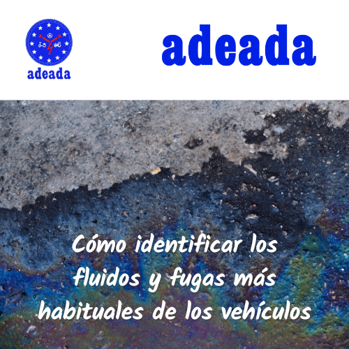 adeada_alava's tweet photo. ¿Sabes cómo identificar los fluidos y fugas más habituales de los vehículos?🚙🔧 Te damos algunas pistas.

#adeada #adeadaalava #alava #araba #basquecountry #comerciolocal #euskadi #gasteiz #salimoshoy #paisvasco #vitoria #vitoriagasteiz #taller #mecanica #automocion #carroceria https://t.co/Dk13rOGjME