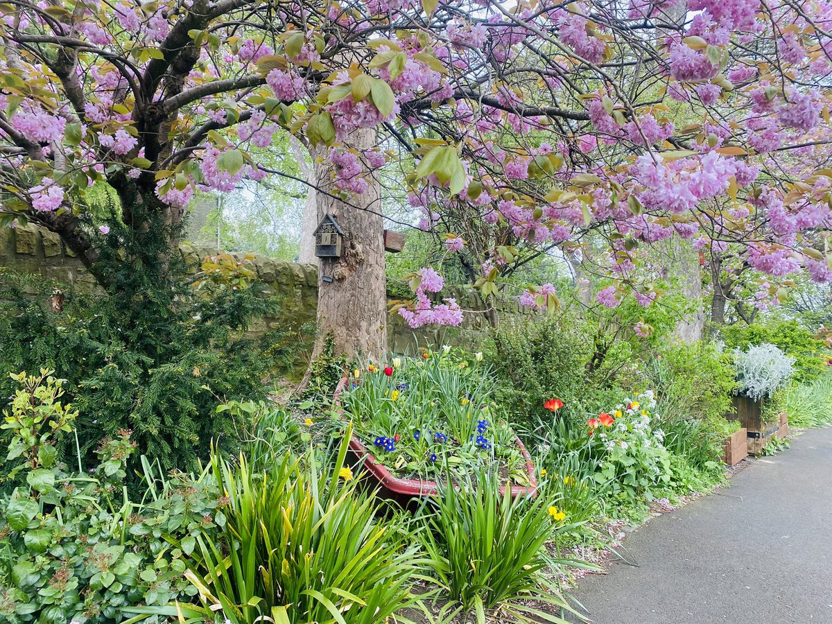 VWR_PGR's tweet photo. How do you treat yourself on a Friday?
🌸🌺🌷
#EDINBURGH #STARBANK https://t.co/cvrfflrt7d