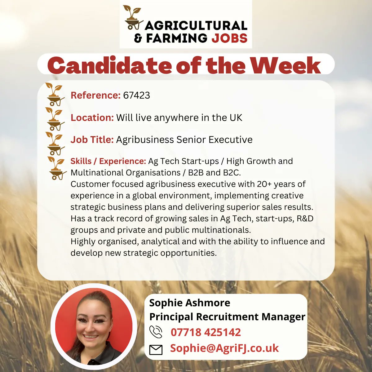 🌟***Candidate of the Week***🌟

If you would like to find out more about this candidate, please contact Sophie on 📞 07718 425142 or email ✉ Sophie@AgriFJ.co.uk

#agrifj #agriculturalandfarmingjobs #candidate #candidateoftheweek #agribusiness #seniorexecutive #agtech