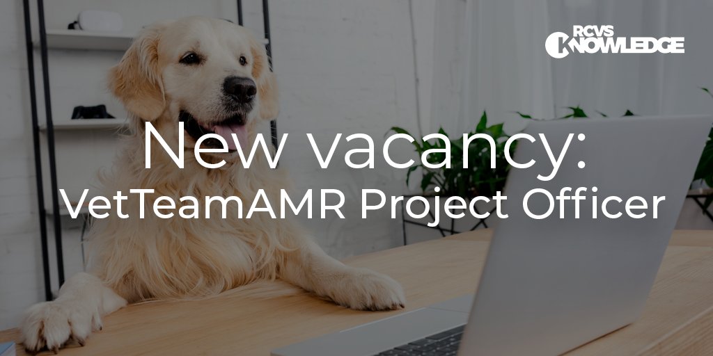 We're hiring a new team member to run our exciting #VetTeamAMR project. 

Help make a real difference for the ongoing efficacy of medicines to benefit humans, animals and the environment. #AntimicrobialResistance #AntibioticGuardian #OneHealth

Apply now: bit.ly/42fMgVo