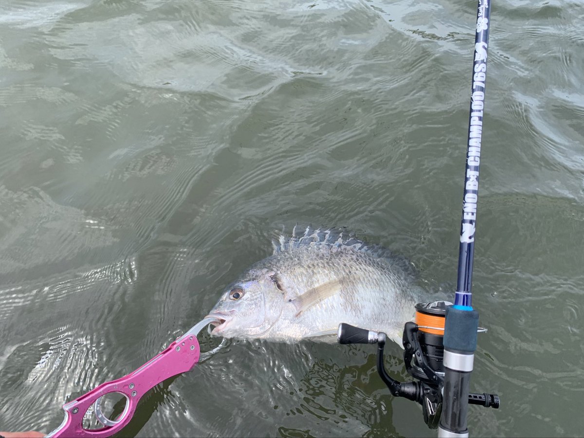 fishing_life1's tweet photo. 久しぶりにmomoiのCAST PE👍
エクスセンスBBも3年目のシーズンですがバッチリ👌
道具の性能も上がってますね!!
トップウォーター最高!
#momoi
#castpe
#イマペン
#ラフトリック https://t.co/XZvY0yb603