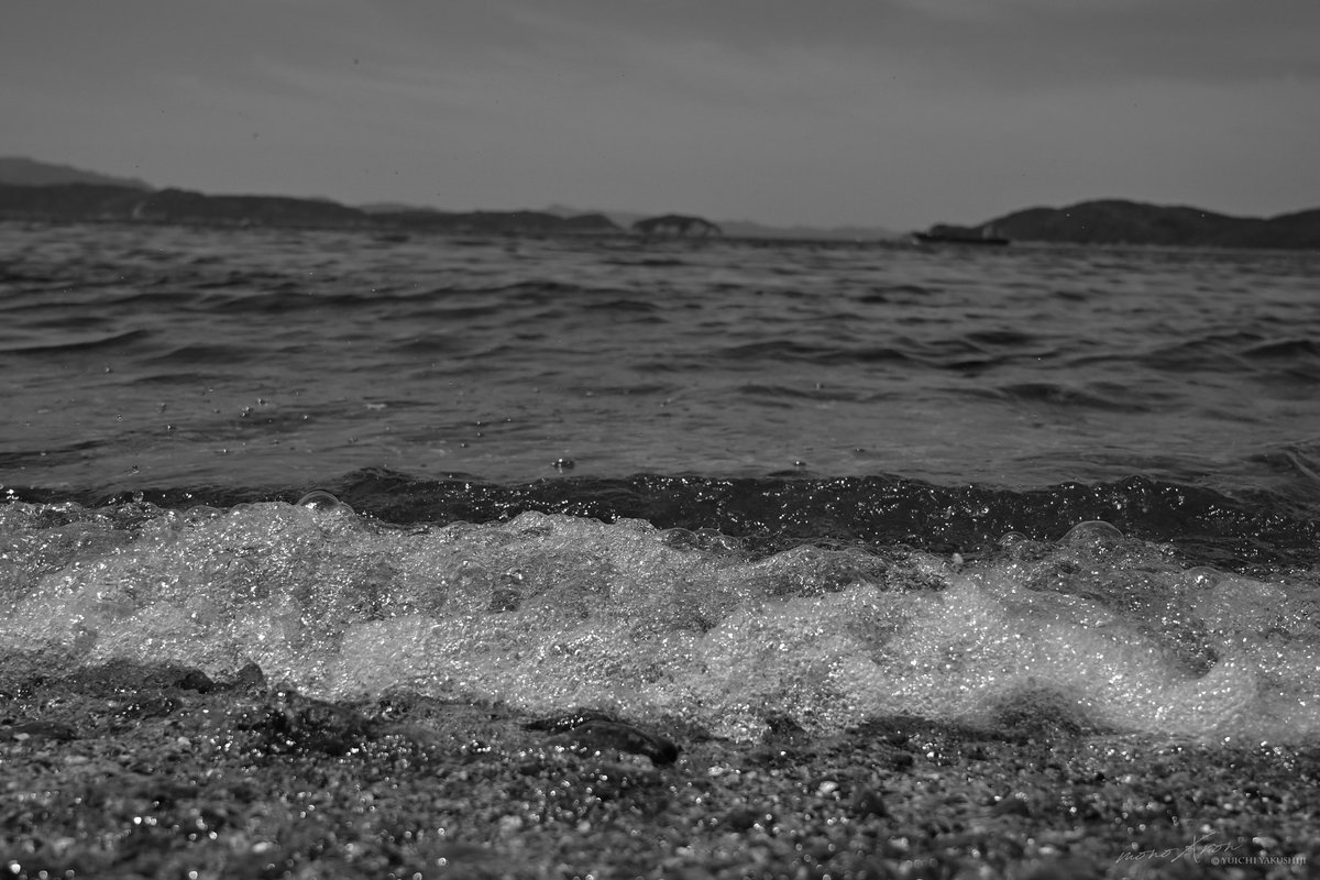 monoXron's tweet photo. 海へ行ったんだ。

押し寄せる光る波のように
思い出は輝き続ける
写真を残そう！

長男くんフォルムいいなぁ
次男くんは、ん～
まだかわいい^^ https://t.co/IXrvSc8hL2
