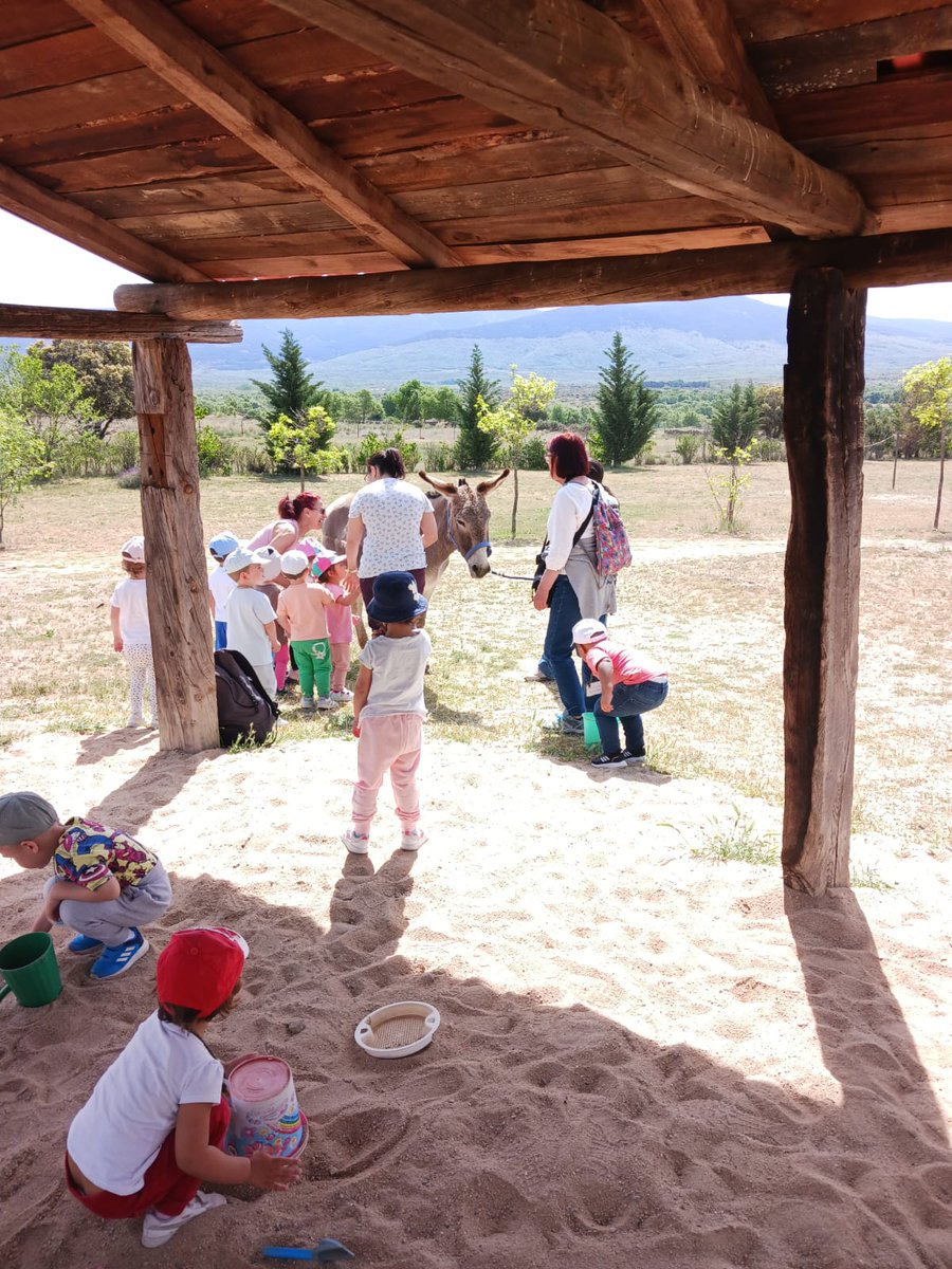 CODINSE's tweet photo. 👧🐮| 𝐍𝐨𝐬 𝐟𝐮𝐢𝐦𝐨𝐬 𝐝𝐞 𝐞𝐱𝐜𝐮𝐫𝐬𝐢ó𝐧
El cuidado de la naturaleza es una semilla que hay que plantar desde pequeñitos, convencidos de esto, en #Codinse hemos organizado una visita para los peques de la comarca a la granja escuela #LaUniversal de... (+) https://t.co/OuQVdPYuPK