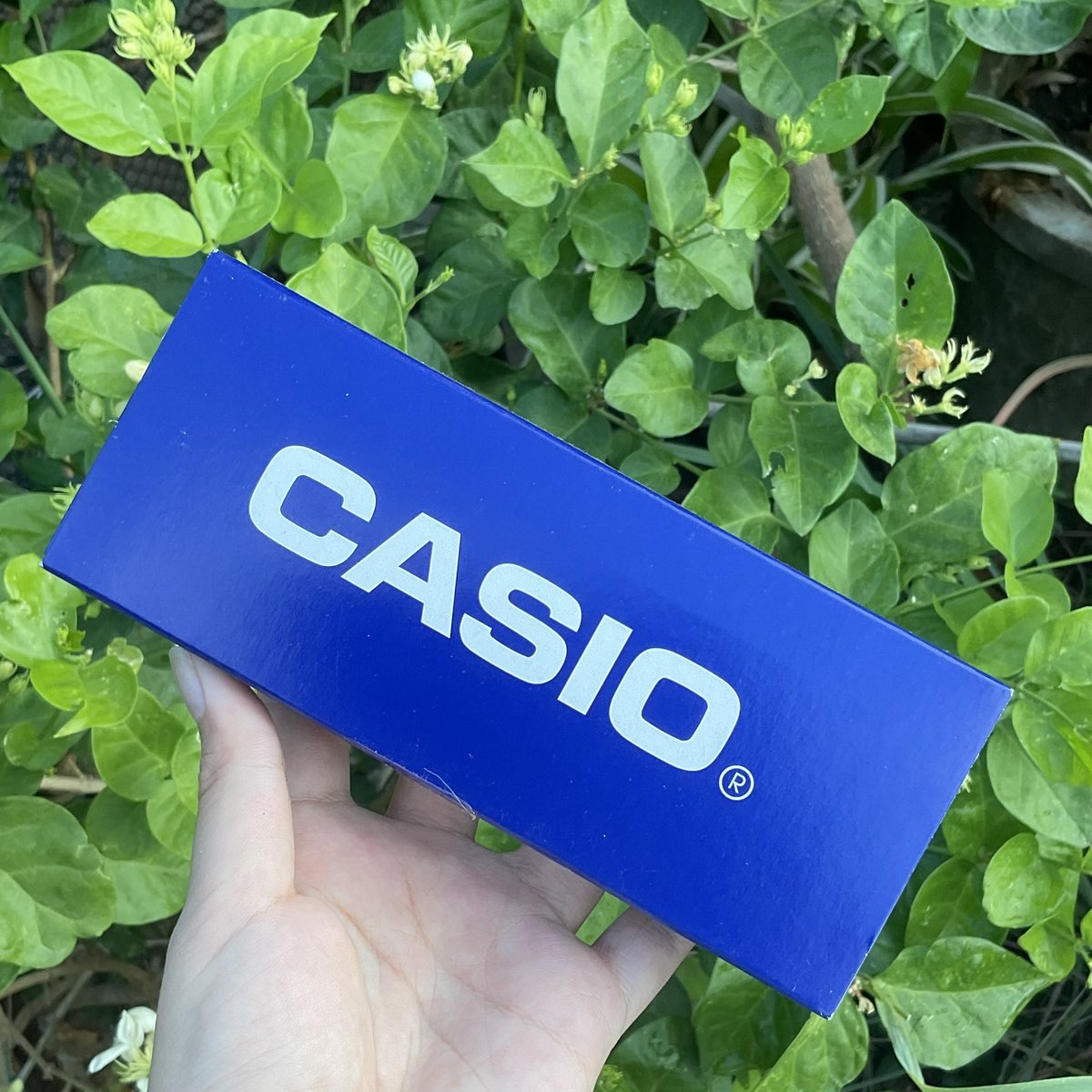 ส่งต่อ Casio ของแท้ 1500฿รวมส่ง ไม่เคยใส่🥹
#ส่งต่อcasio #ส่งต่อนาฬิกา #ส่งต่อcasioมือ2 #ส่งต่อนาฬิกามือสอง
#ส่งต่อนาฬิกา #ส่งต่อนาฬิกามือ2 #ส่งต่อนาฬิกาcasio