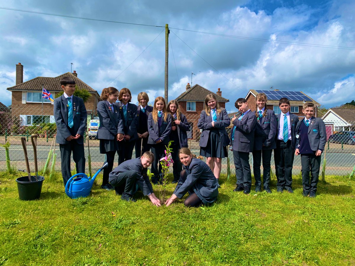 AcademyCromer's tweet photo. We’ve planted a beautiful magnolia tree to celebrate The Coronation of His Majesty King Charles III. 
King Charles III has championed environmental issues for many years so it was fitting that our eco committee members planted the tree to mark the momentous occasion. @EcoSchools https://t.co/54WOxo0Crt