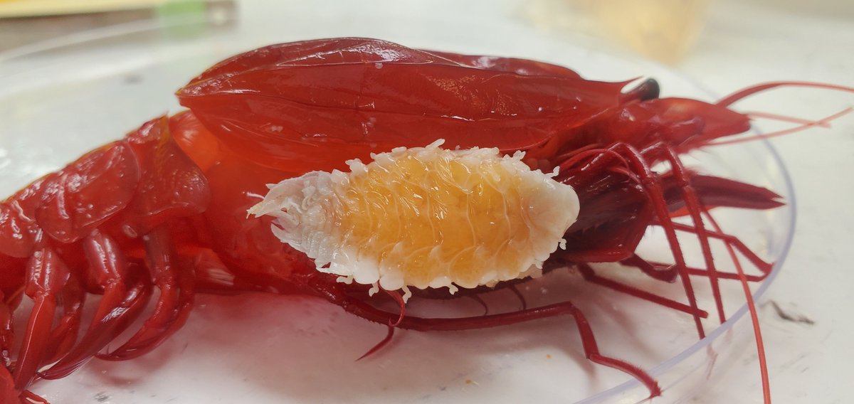 Heather Bracken-Grissom tweet media