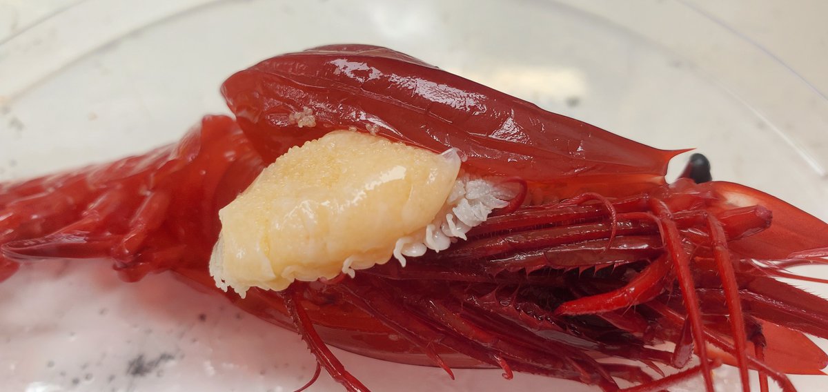 Heather Bracken-Grissom tweet media