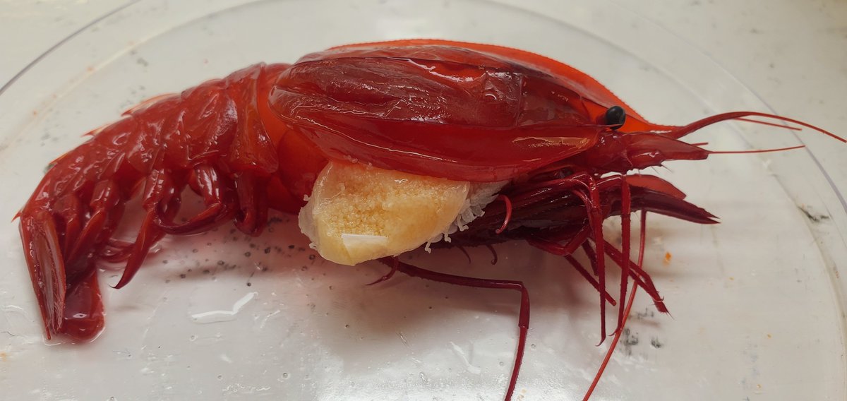 Heather Bracken-Grissom tweet media