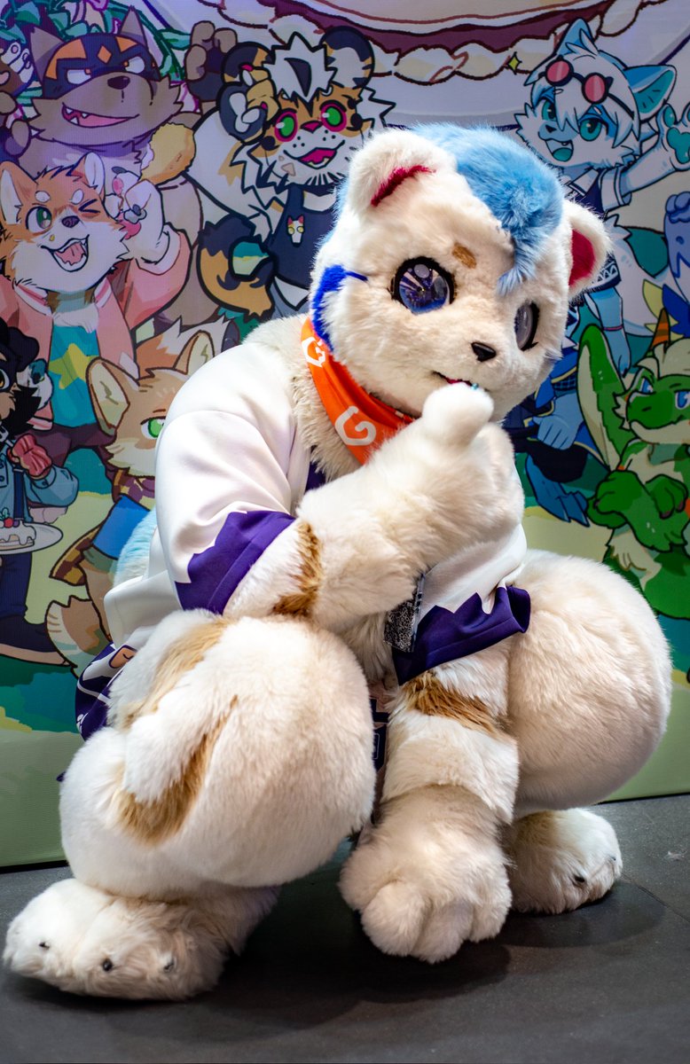 沉默的白熊 (@polarbear_0m) on Twitter photo 