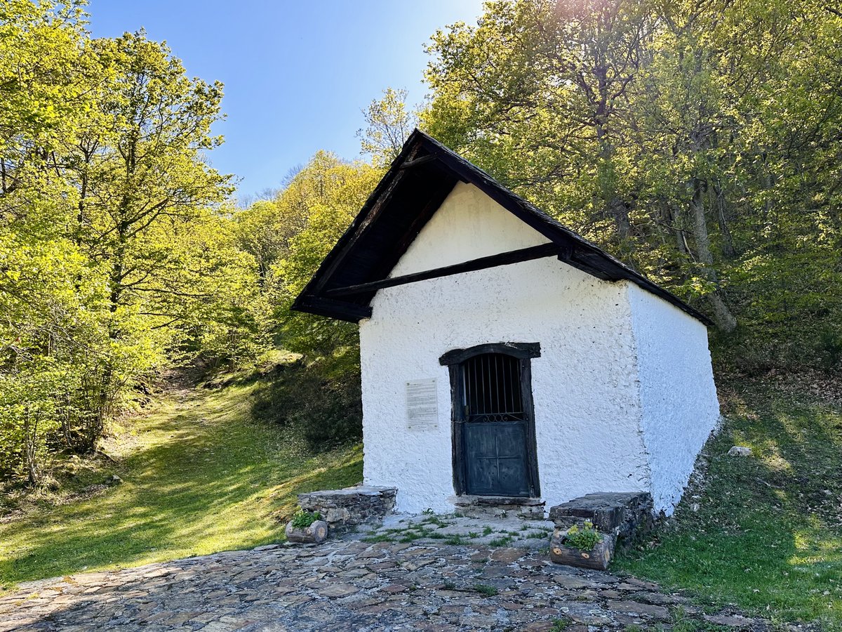 Bossòst (Val d’Aran - Pirenèus) tweet media