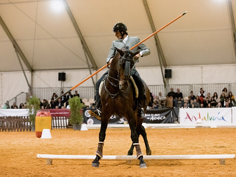 SICABOficial's tweet photo. Repasa las fotos y los resultados de los binomios campeones en la Final de la Copa ANCCE de Equitación de Trabajo🏆de la pasada edición.
➡️ https://t.co/VHcnHqjtFC
#SICAB22 #ANCCE #CaballoEspañol #CaballosPRE #CaballoPuraRazaEspañola #EquitaciondeTrabajo #WorkingEquitation https://t.co/epFMiilhec