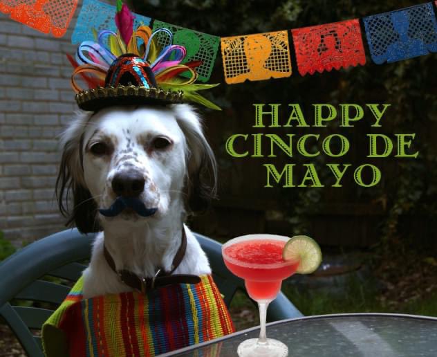 criswinter412's tweet photo. Happy Cinco DeMayo everyone! Ooo-lay!
#happycincodemayo #cincodemayo #maythefifth #maythe5th #fifthofmay #margaritas #tacos #mexico https://t.co/kfCVUa6gWs