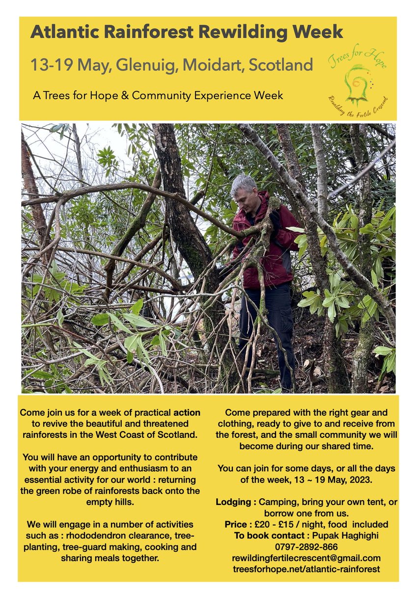 My wife Pupak, and I are leading a week of practical work helping to restore &amp; rewild an area of temperate rainforest at Glenuig in Moidart on Scotland's west coast, starting on 13th May. We have places available - come &amp; join us clearing rhododendrons, planting oaks etc.
