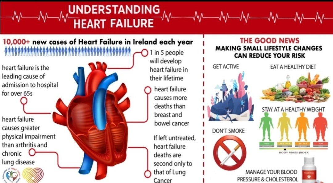 SarahFall17's tweet photo. When we understand the causes of heart failure, we can help to turn the tide of this disease. 
Small lifestyle changes can reduce your risk. #SpreadTheWord #HeartFailureAwarenessWeek #HFA_President  #heartfailure4nurses #letsbumpupthepump #25in25 @IAHFNurses https://t.co/VEldFsj5Hd