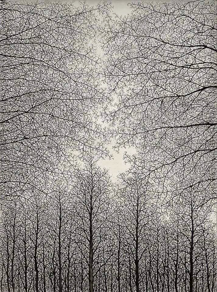 literlandweb1's tweet photo. "Para un árbol, cambiar de sitio es la muerte; para un hombre, cambiar de sitio es la vida".
"Cambios", Mo Yan https://t.co/e7jLfsY5pM