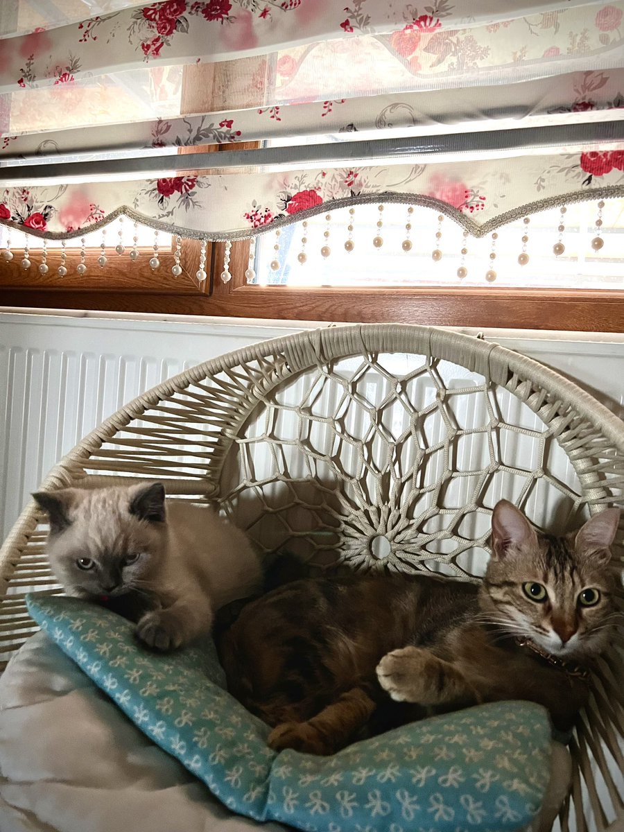 En değerlilerim 🤍🤍🤍