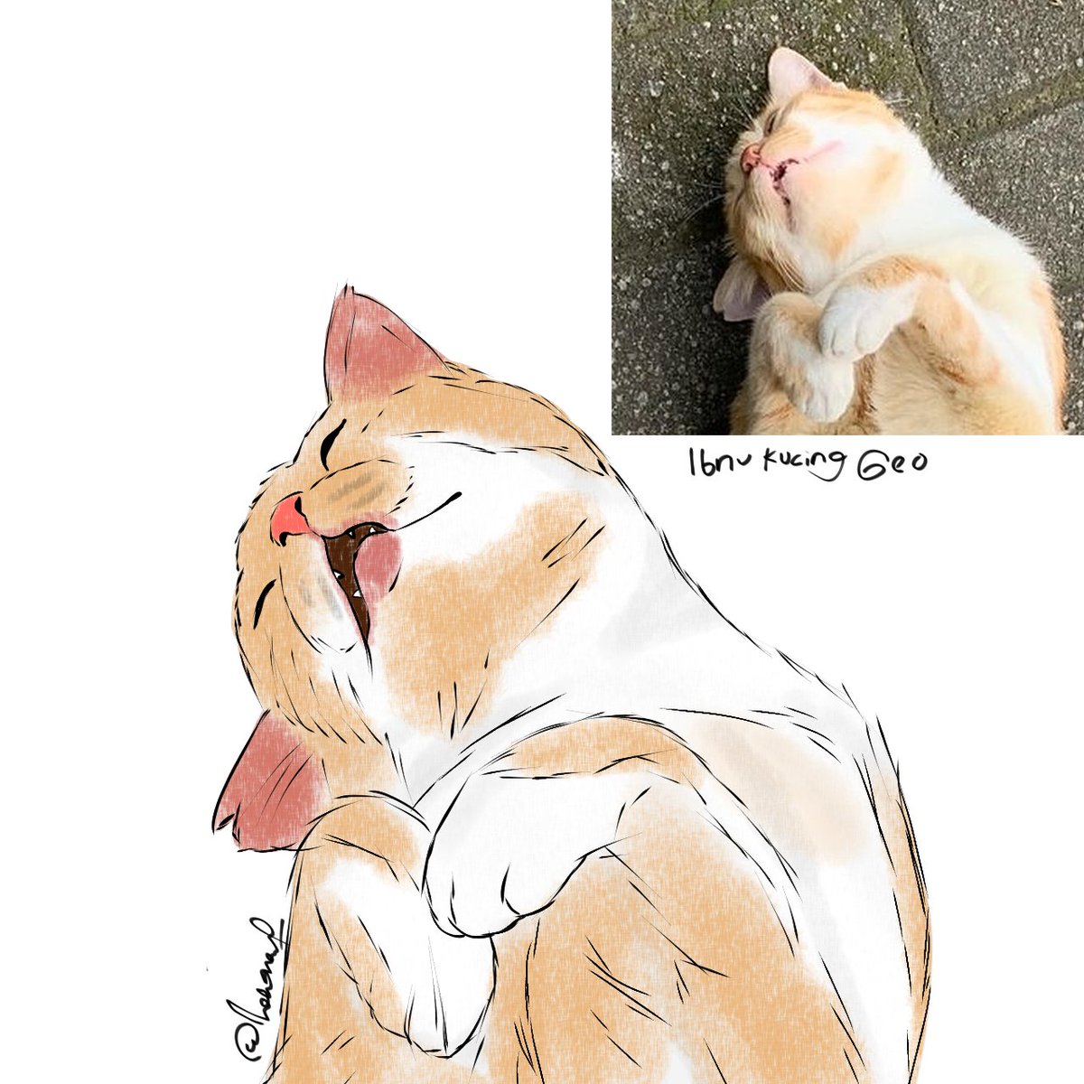 tolong drop foto anabul kesayanganmu, sender izin gambar untuk referensi thanks 🐈‍⬛