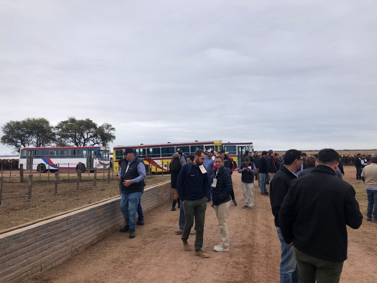 nutex_uruguay's tweet photo. Jornada "Nuevas tecnologías para la ganadería sustentable".

Establecimiento Las Chilcas
Córdoba https://t.co/dVrrUtxYRM