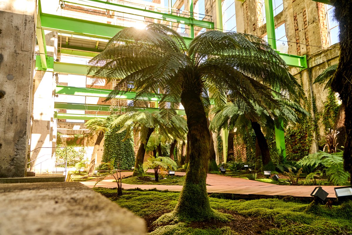 losdelvolcan's tweet photo. De central térmica a espacio de ocio y cultura en Ponferrada 🌱 

Ayudamos a la @termicacultural en su transformación, tanto digital como física: diseño web, redes, señalética del centro, etc.  

Echa un vistazo a todo el proyecto aquí👇
https://t.co/CgBtU8K7Iz https://t.co/avuRYcMvf2