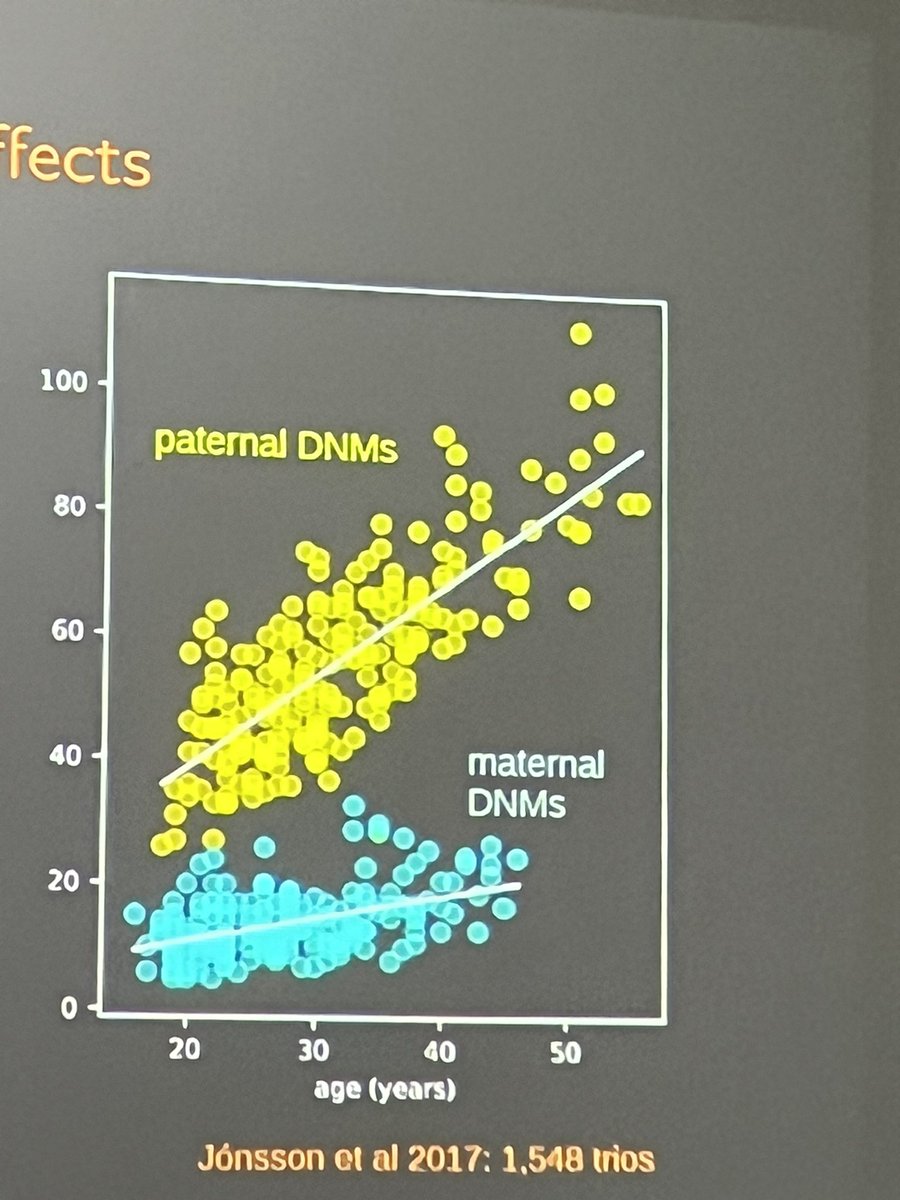 Rates of de novo mutations increase especially with paternal age (because of increased cell divisions in spermatogenesis va oogenesis)