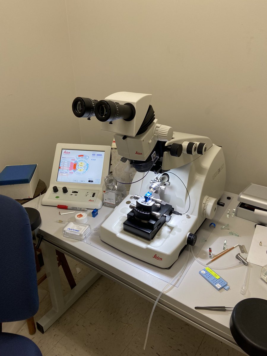 Katie Peterson tweet media