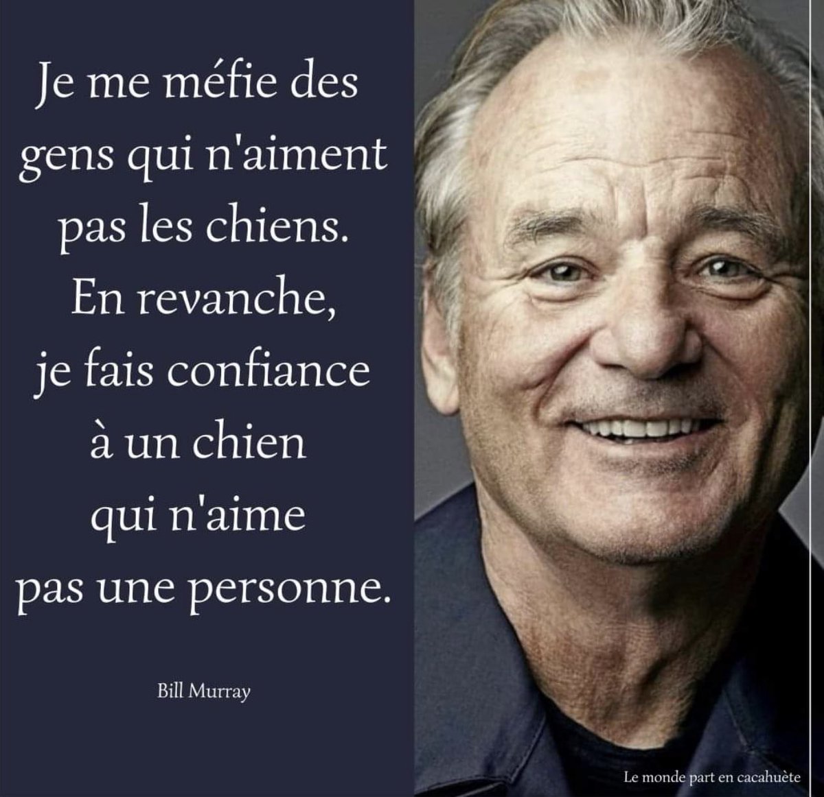 Julien Courbet on Twitter "On est d'accord monsieur murray !!! protectionanimale"