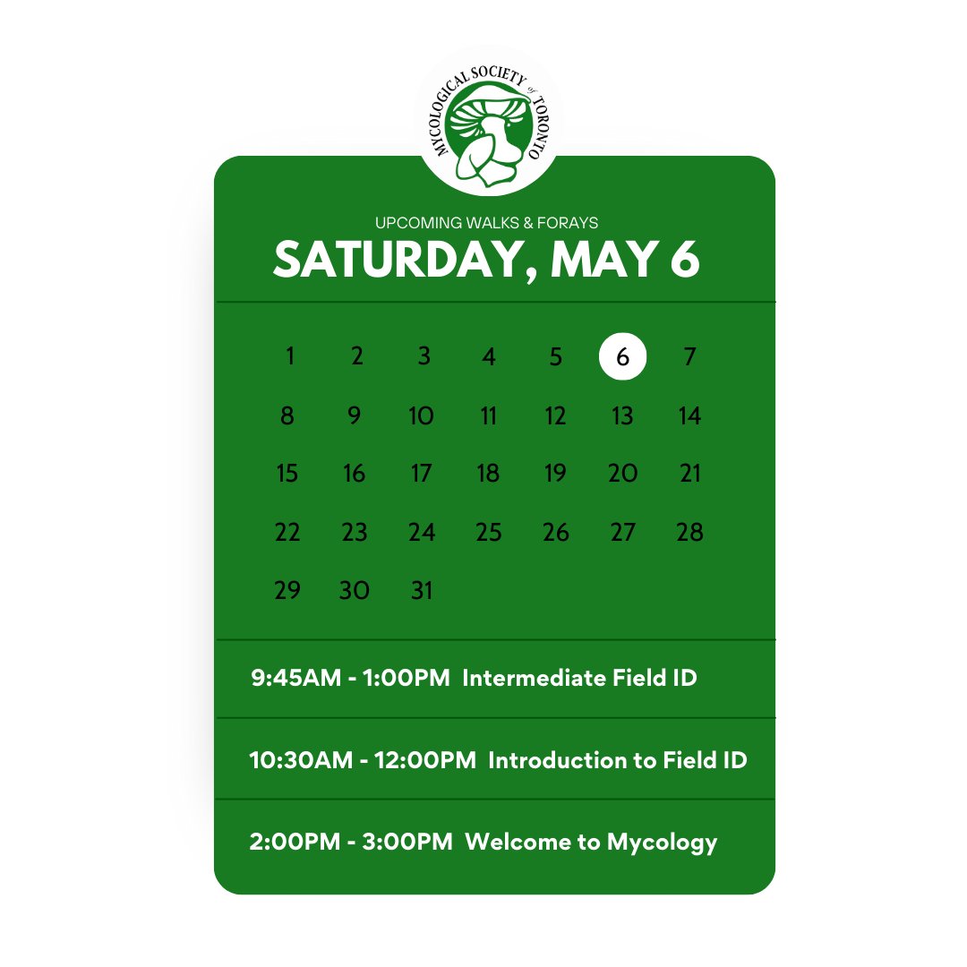 mycotoronto's tweet photo. Join us this weekend for the first Field ID walks and forays of the season! There are still spaces available for both the Saturday and Sunday events to get outside and observe spring fungi. Register at https://t.co/hEjNmoMhbb. https://t.co/NBom4X1gfD