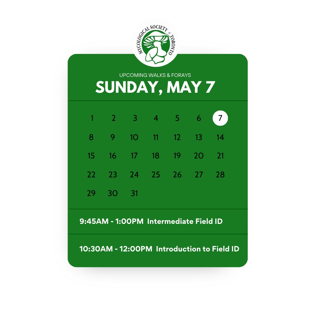mycotoronto's tweet photo. Join us this weekend for the first Field ID walks and forays of the season! There are still spaces available for both the Saturday and Sunday events to get outside and observe spring fungi. Register at https://t.co/hEjNmoMhbb. https://t.co/NBom4X1gfD