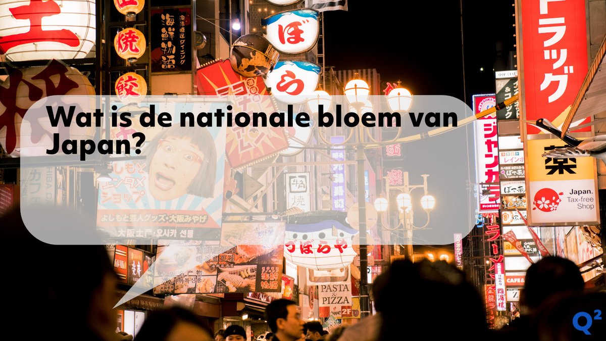 Q2Quiz_NL tweet media