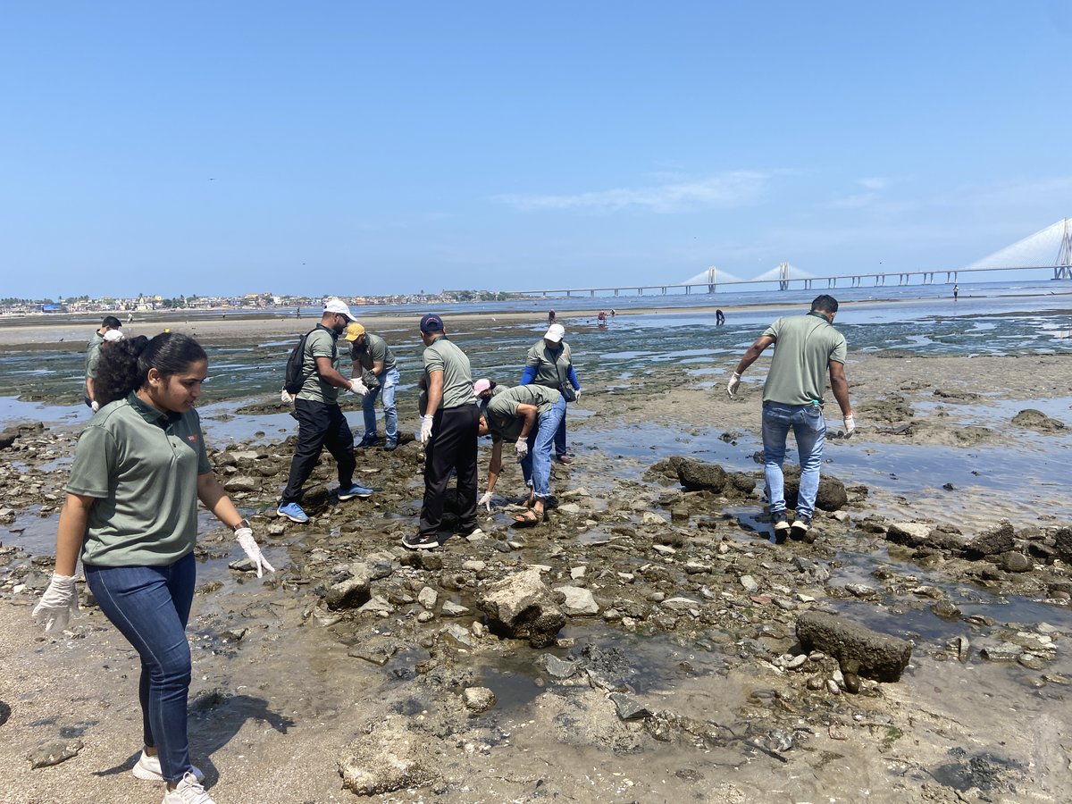 SHMShipcare's tweet photo. #SHMGroup has recently organized a beach clean-up drive in Mumbai. The drive was a success, showcasing the organization's commitment to sustainability and social responsibility. #Beaccleanupdrives are vital in preserving the natural habitat and preventing marine pollution. https://t.co/YJCRTgyee6
