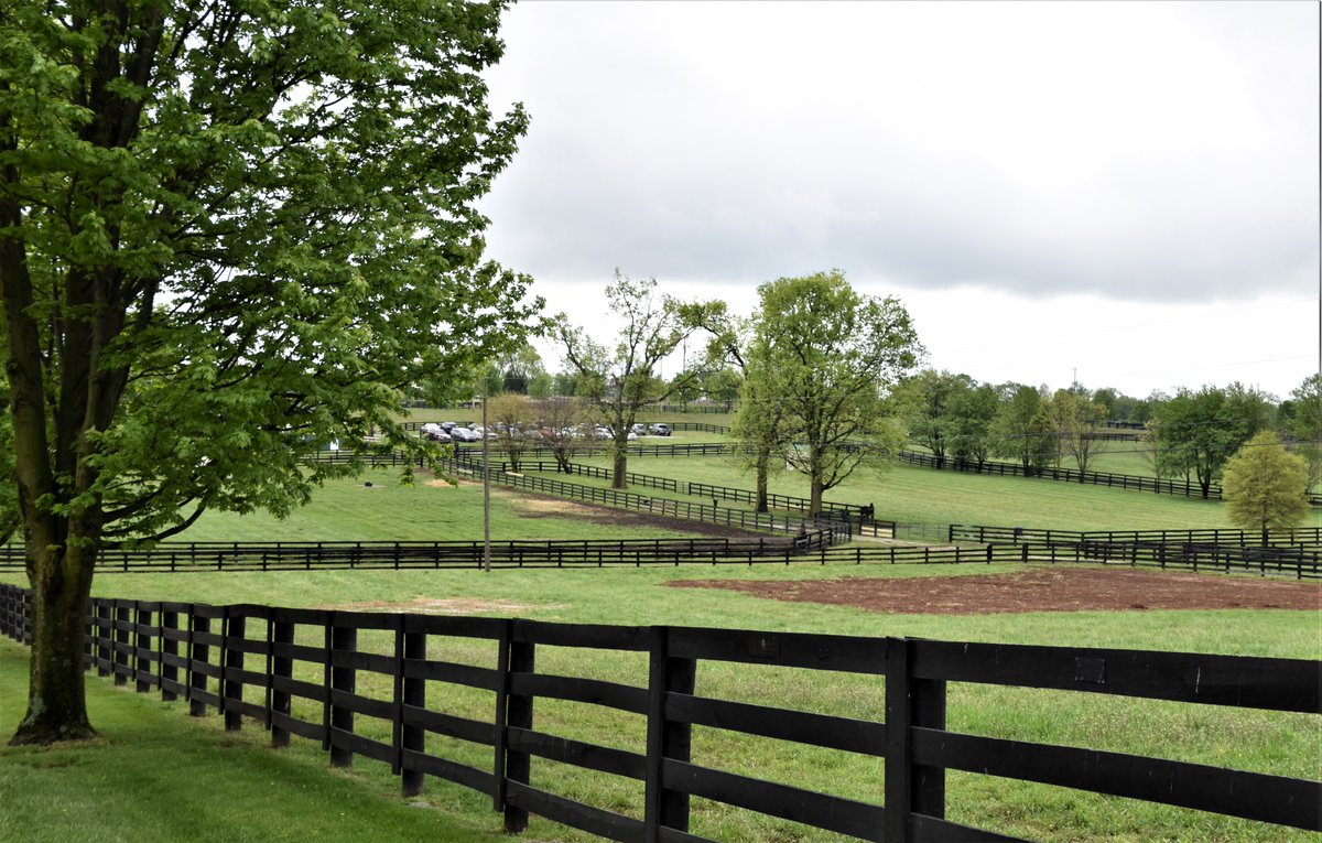 TravelMarilyn's tweet photo. Old Friends Thoroughbred Retirement Farm near Georgetown, Kentucky.
#georgetown #Kentucky #horse #horsefarm #travel #traveling @gotogtownky #gotogtown #georgetownky https://t.co/0pzkmCXqh1