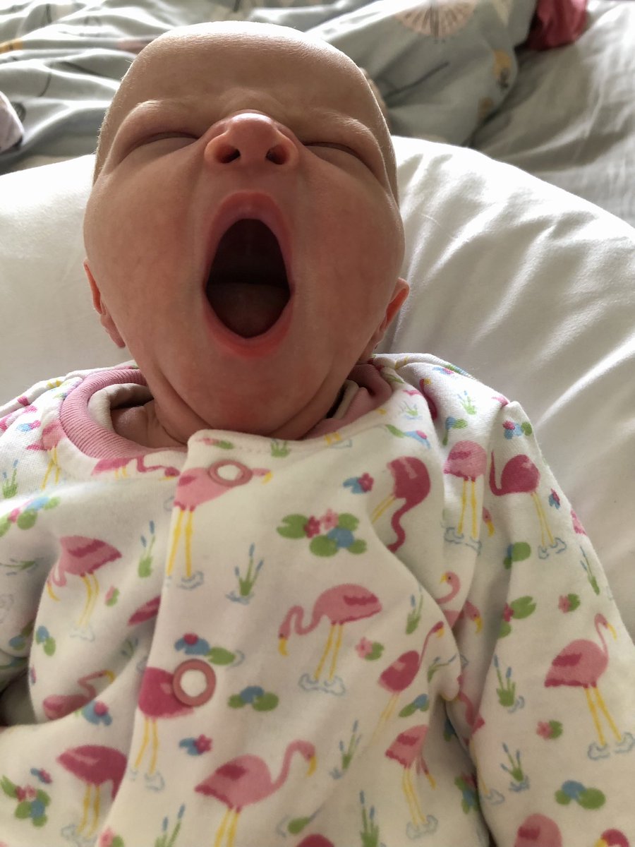 Charlotte Squires tweet media