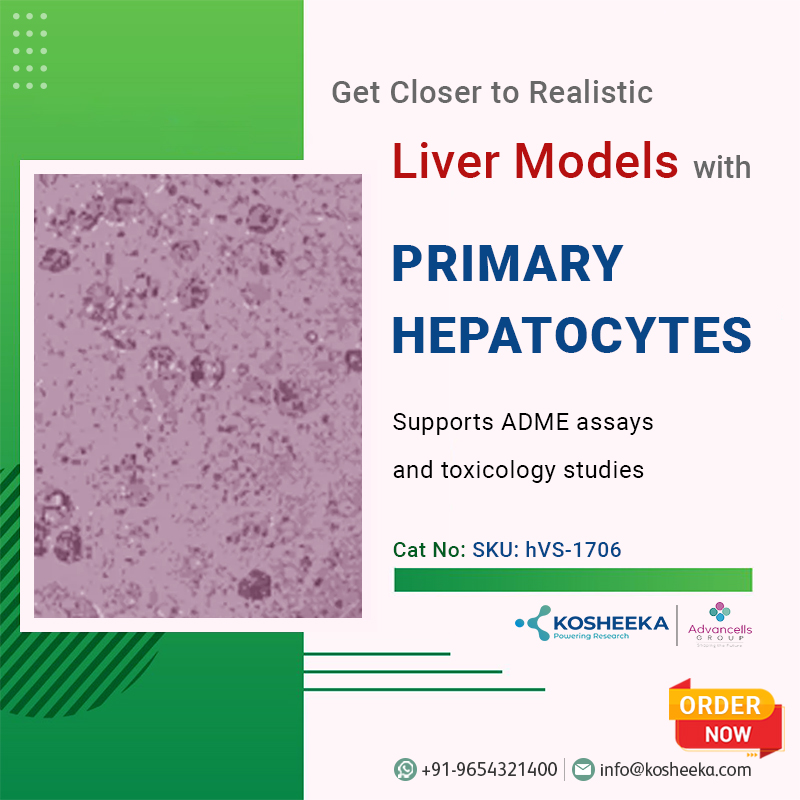 kosheeka's tweet image. Want to take your liver models to the next level?
Incorporate primary hepatocytes for more realistic and accurate results.

Product details: kosheeka.com/product/human-…

#LiverModels #PrimaryHepatocytes #ADME #DMPK #kosheeka #cellculture #primarycells