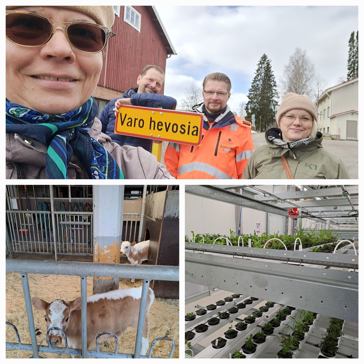 Huippua! Kyytöt, hepat, vertikaaliviljely ja sähköinen varastonhallintajärjestelmä tulivat tutuiksi. Tutustumassa logistiikka- ja luonnonvara-aloihin. Kiitos <a href="/KuosmanenAnu/">Anu Kuosmanen</a>, Renne ja Marko. <a href="/KAO_twiittaa/">Kainuun ammattiopisto KAO</a>