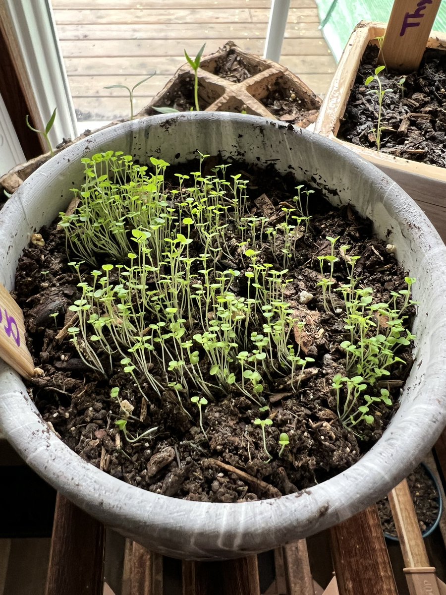 JenPeltoniemi's tweet image. Planting season has begun! As we enter growing season #onted #educators don’t neglect your own professional growth! Registration for @etfoaq summer session is open and filling up quickly! So many courses to choose from! #aqcourses 
etfo-aq.ca/catalogue/